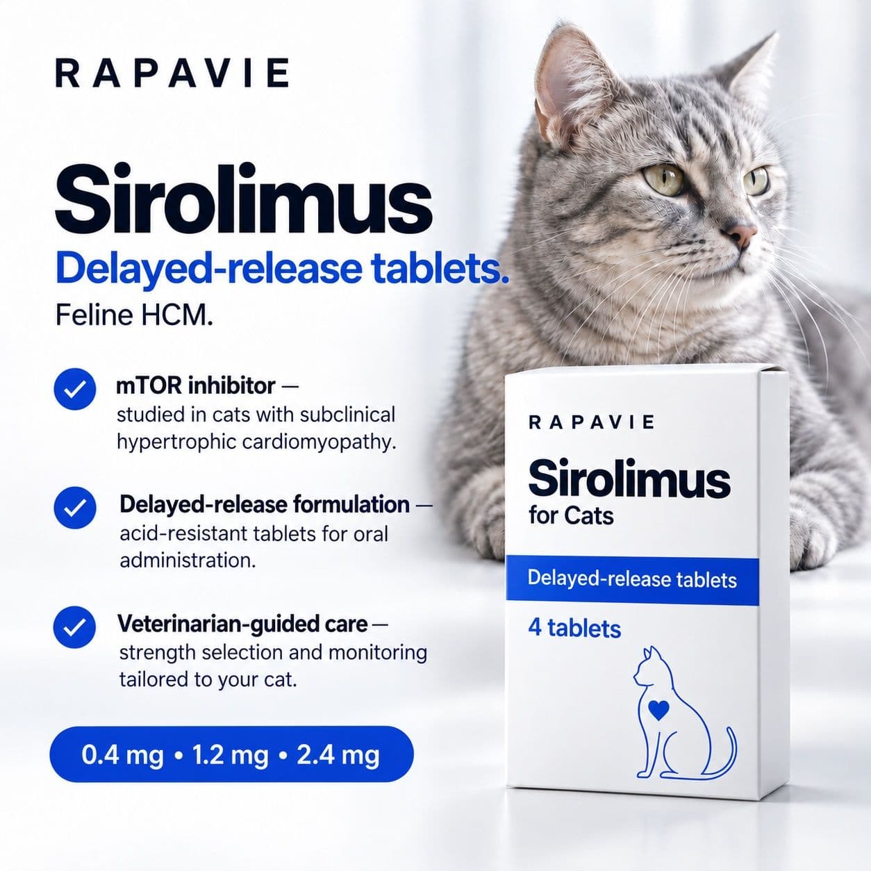 A grey tabby cat beside the Rapavie sirolimus for cats carton: delayed-release tablets for feline HCM, four tablets, in 0.4, 1.2 and 2.4 mg